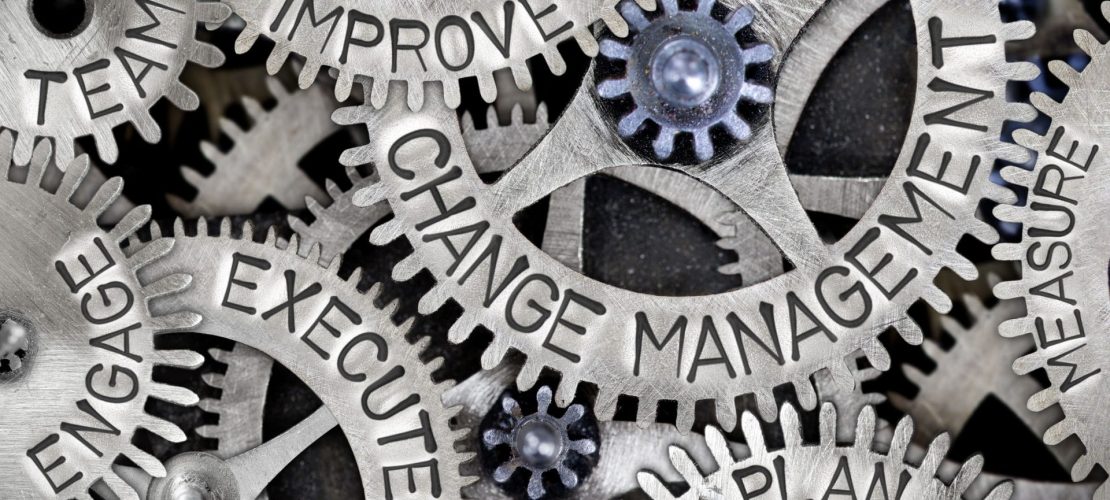 change-management-consulting-principles