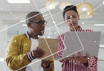 technology consultants establishing AI governance standards and oversight protocols during an AI implementation consulting project
